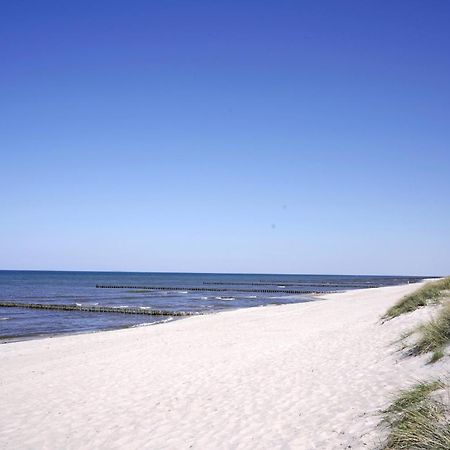 Achtern Diek 8A - Wohnung 5 Zingst Exterior foto